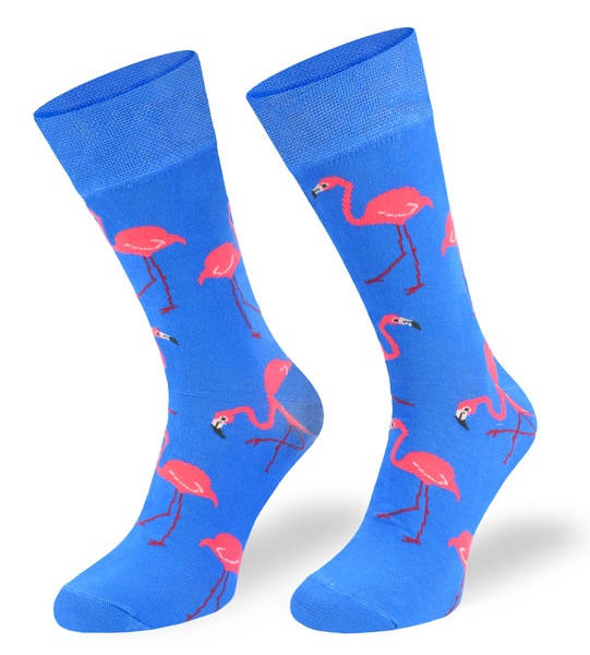 Kolorowe skarpetki – Flamingi niebieskie