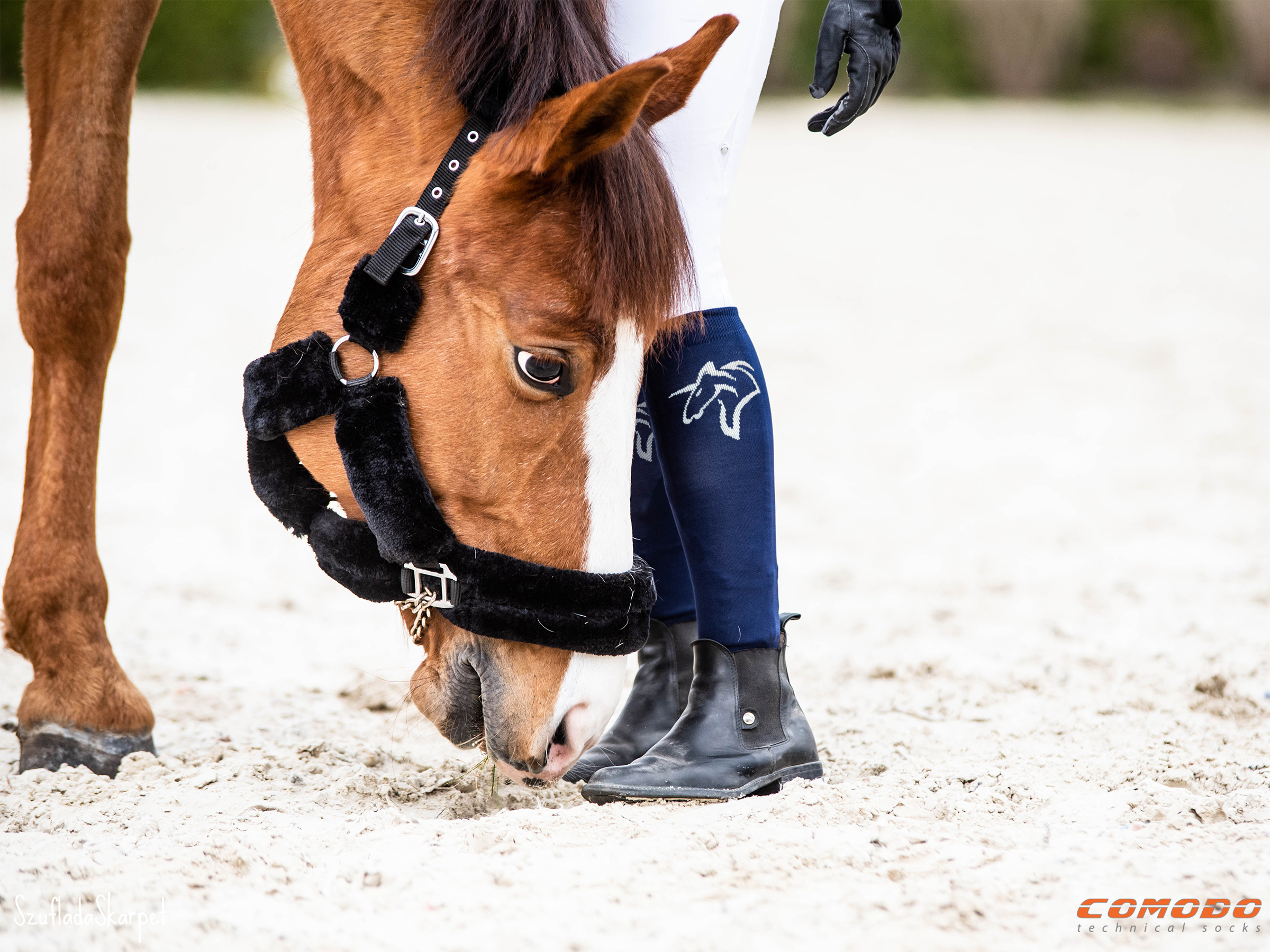 Ciepłe, jeździeckie skarpety SJWZ z linii Riding Series, wykonane z wełny merino, przeznaczone na jesień i zimę.