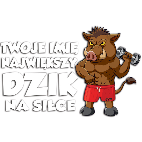 Nadruk umieszczony na koszulce - PE / DTF /  IA005