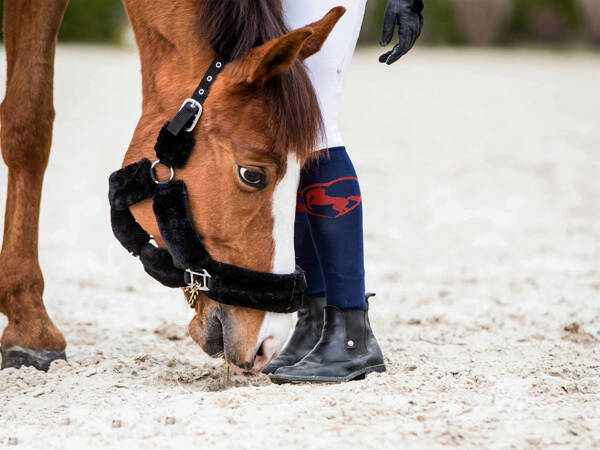 Podkolanówki jeździeckie SJF z mikrofibrą - I love horse Black